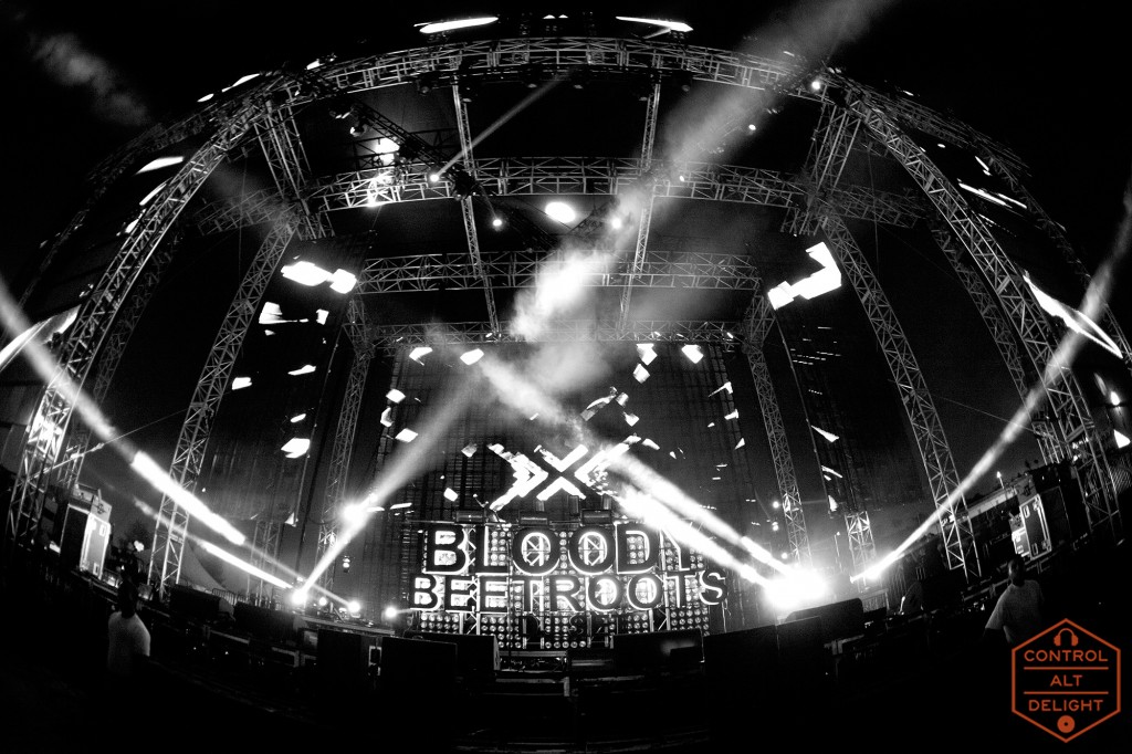 Bloody Beetroots