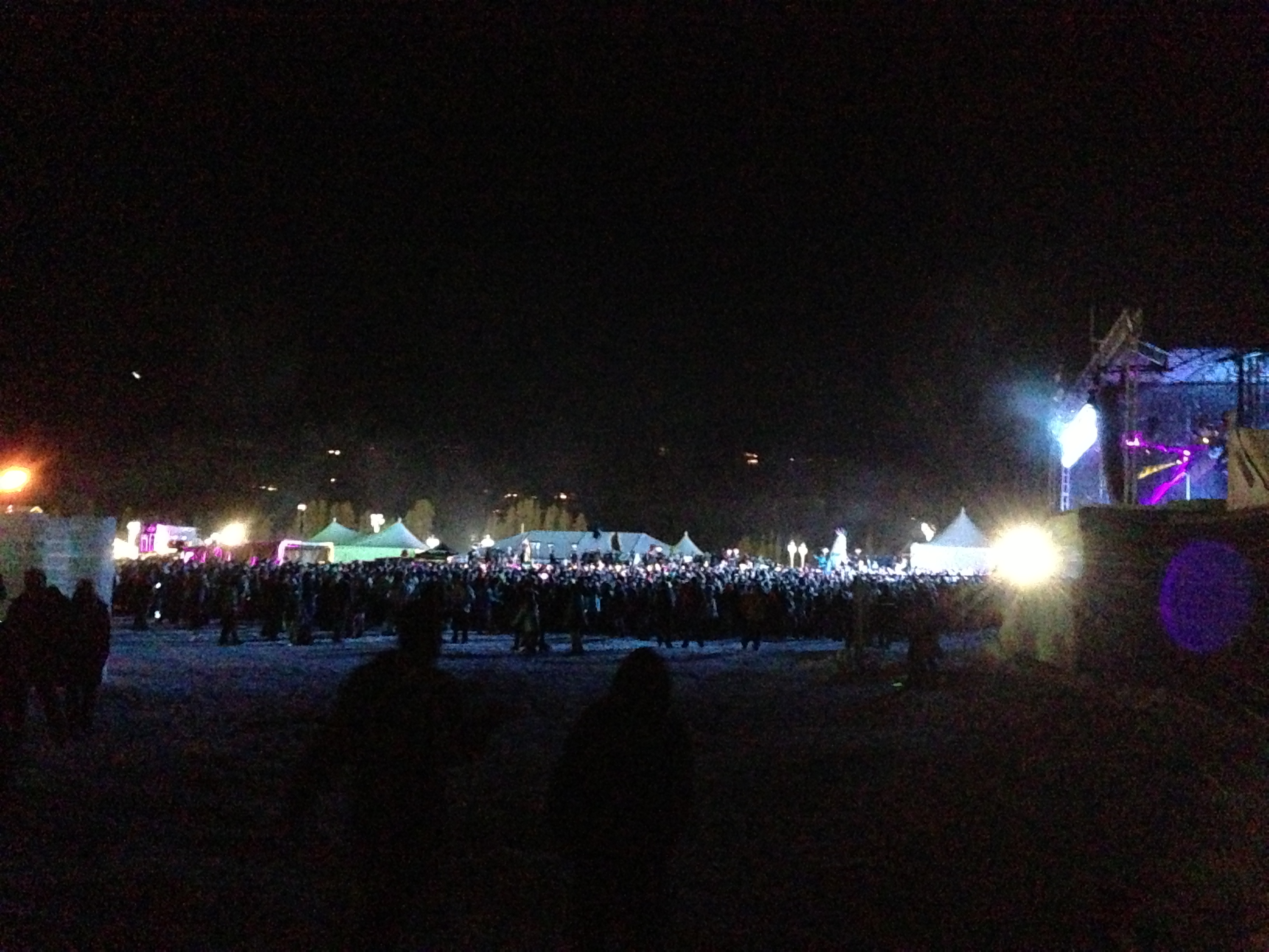 Porter Robinson's crowd