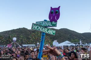 Nocturnal Wonderland -23