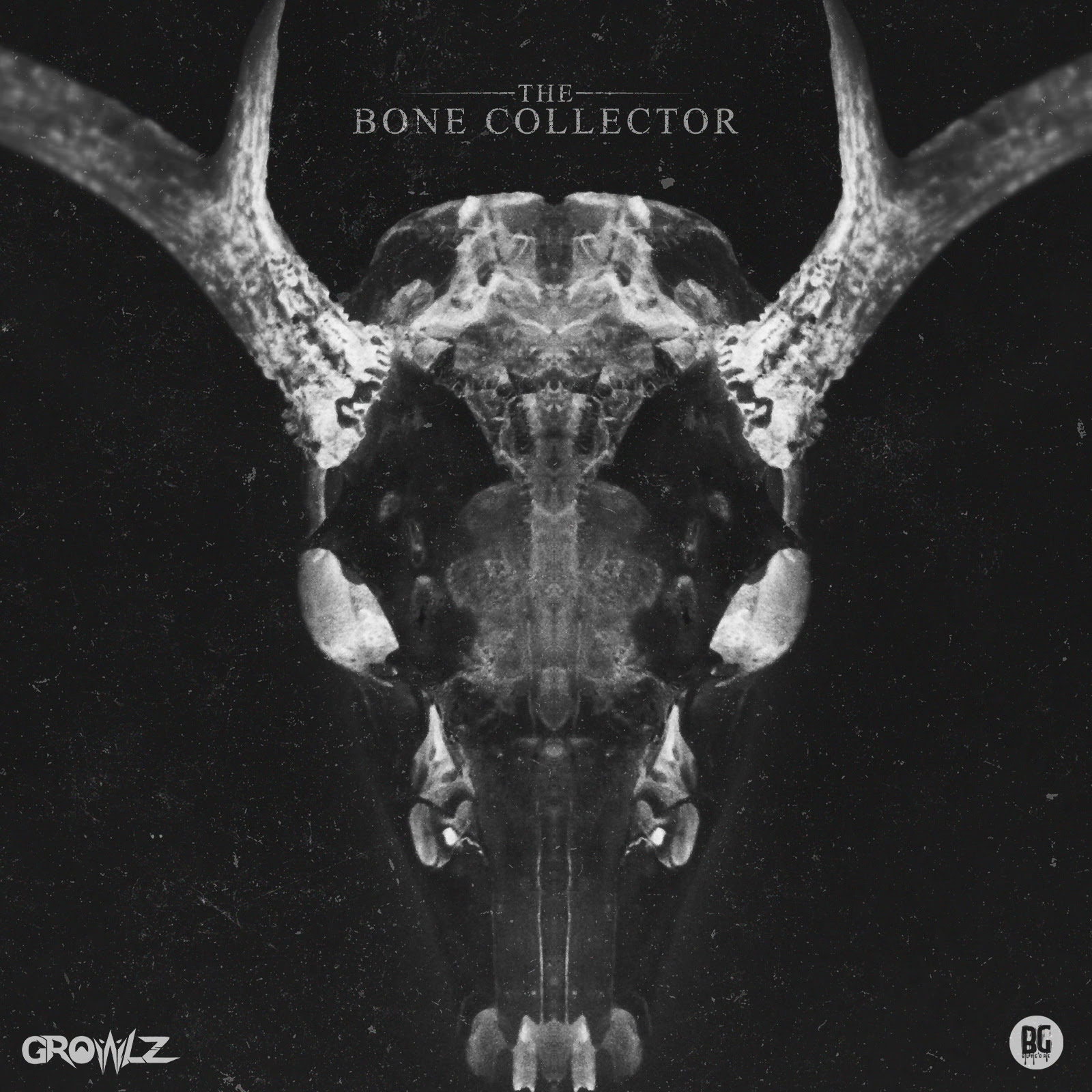 The Bone Collector Software