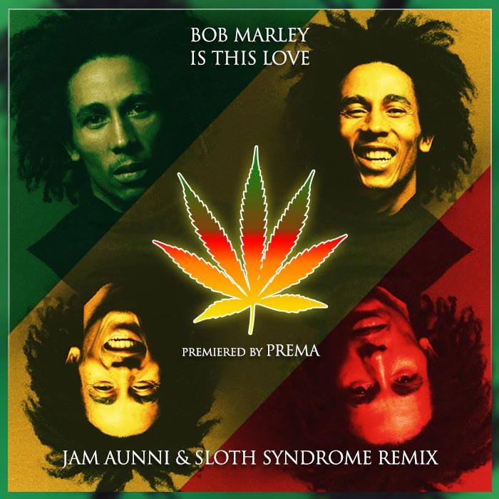 Bob Marley - Is This Love (Jam Aunni & Sloth Syndrome Remix)
