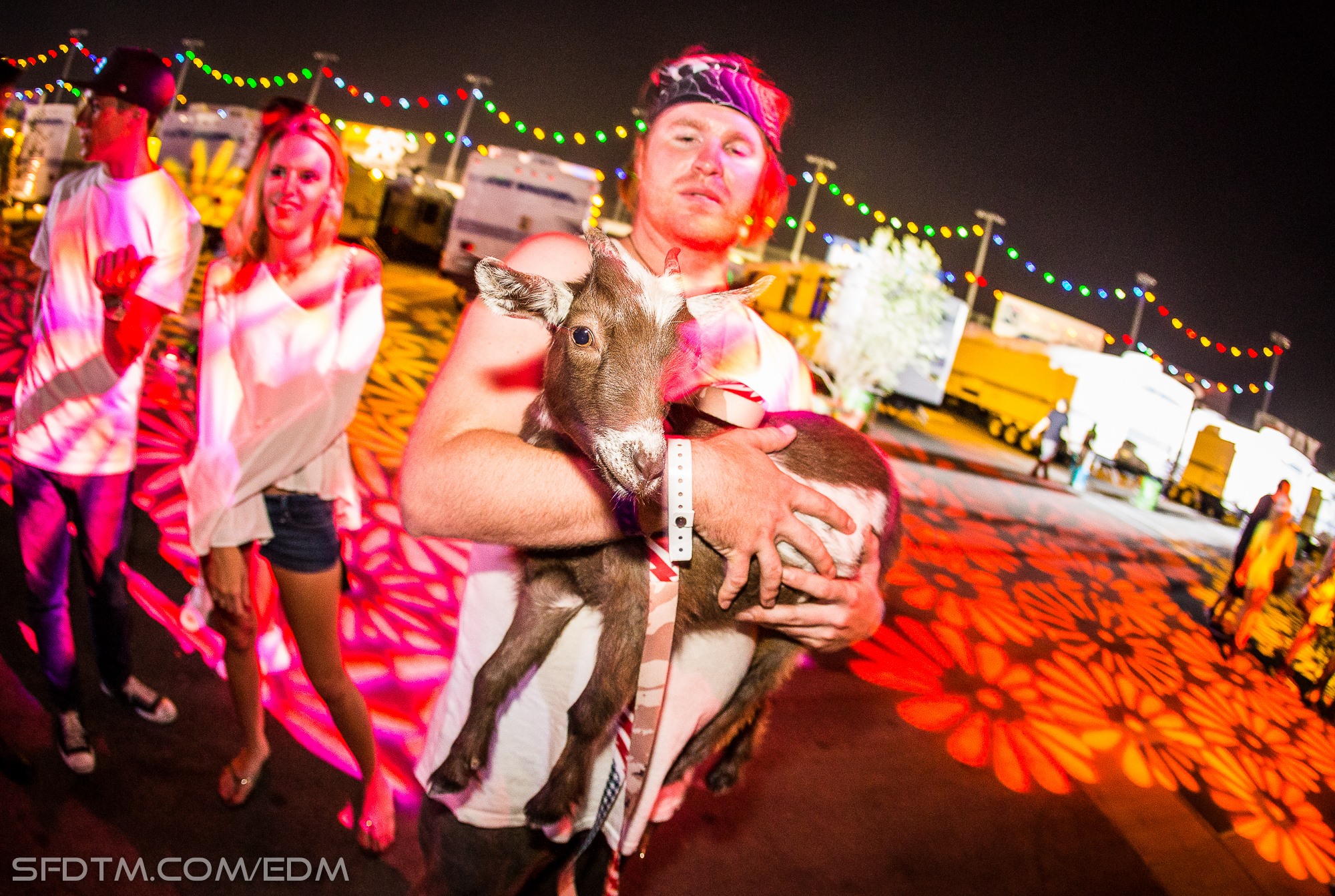 Party Goat