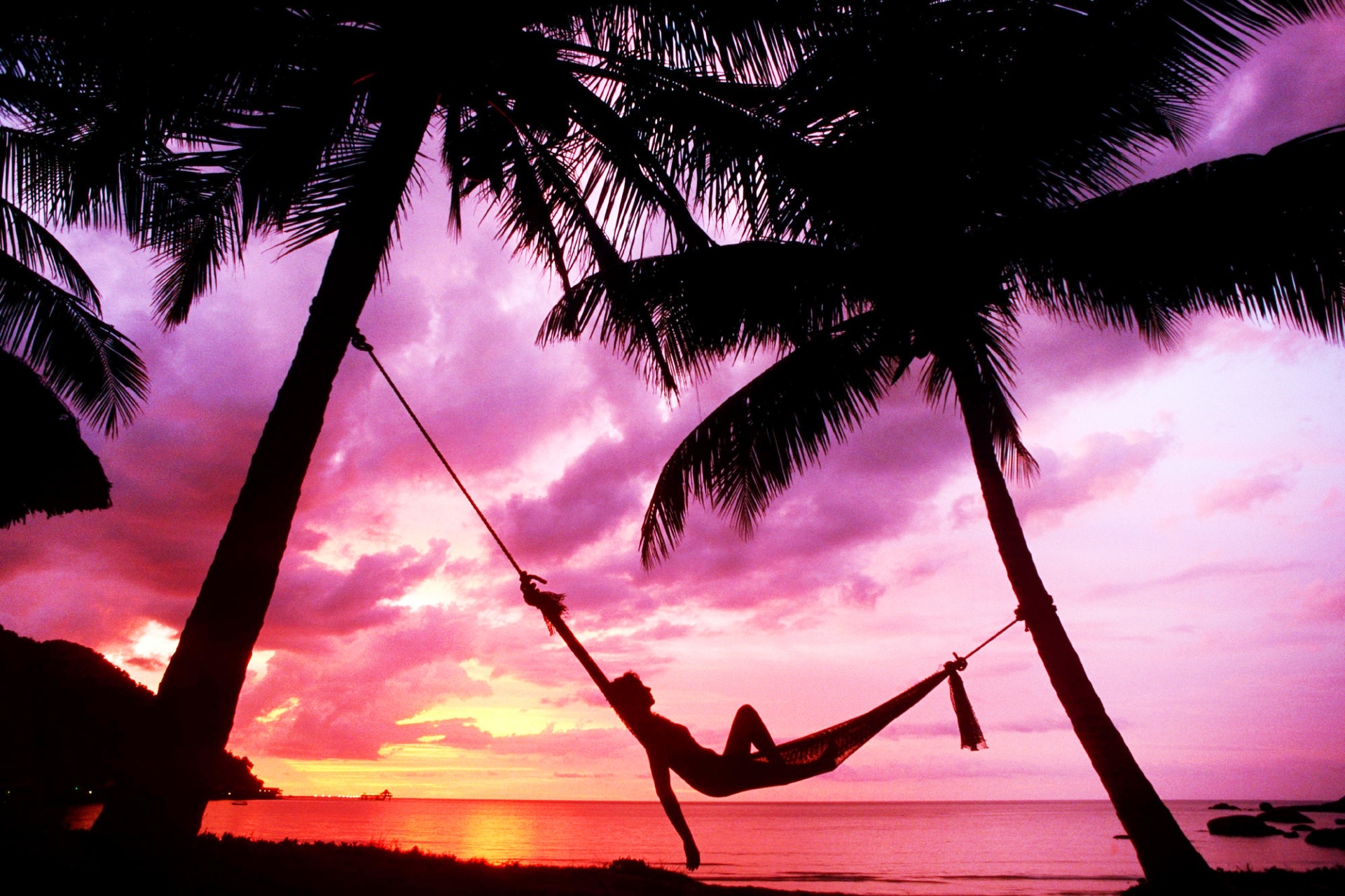 14+ Amazing Palm Tree Hammock