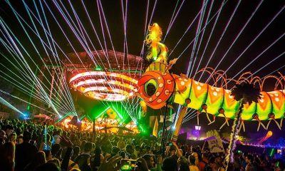 Nocturnal Wonderland