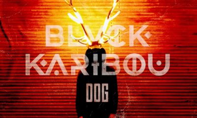 BLVCK KARIBOU