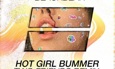 hot girl bummer two friends remix