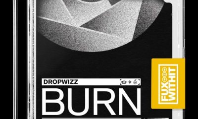 dropwizz burn
