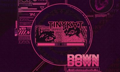 tinykvt down
