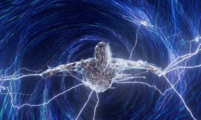 anyma rezz entropy